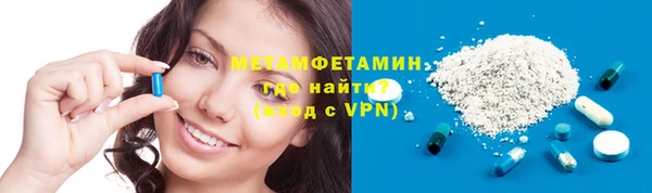 индика Богданович