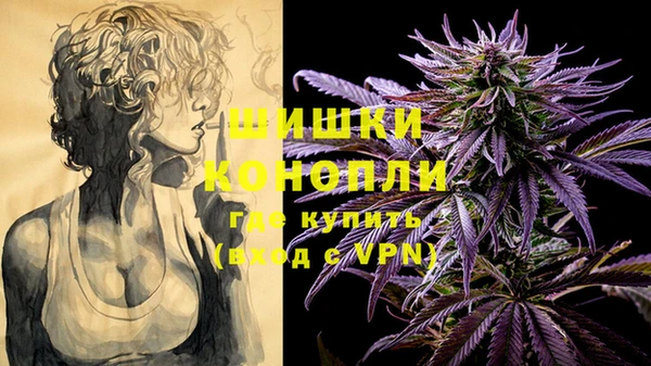 крисы Белоозёрский